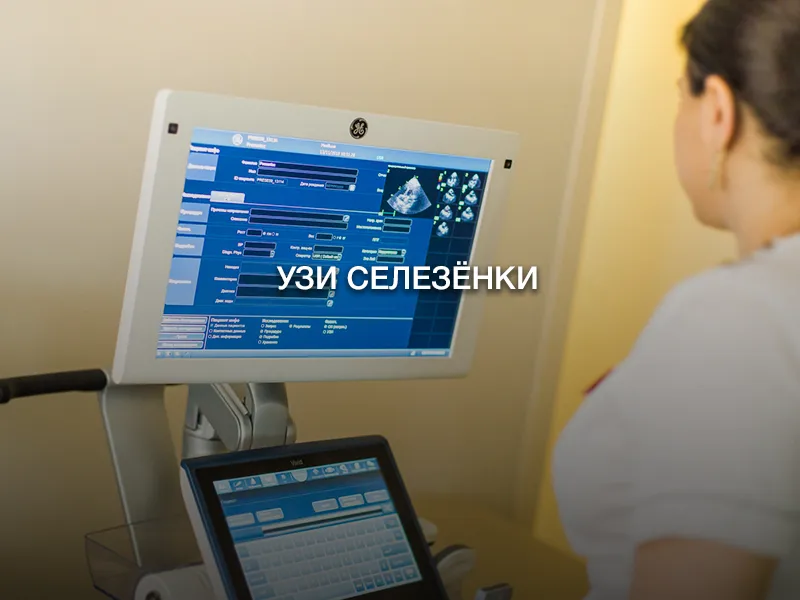 УЗИ селезёнки