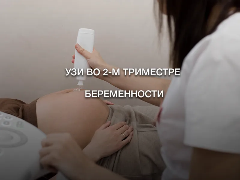 УЗИ во 2-м триместре беременности